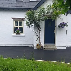 Cheerful , Westport Ireland